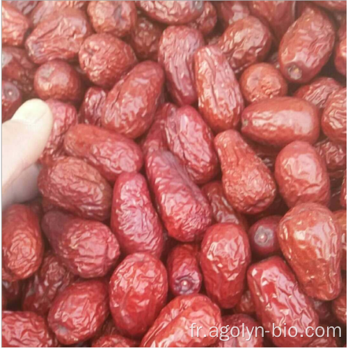 Nouveaux dates de jujube séché à la récolte à vendre